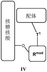 Figure BDA0001804823870000241