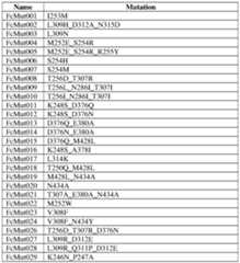 Figure imgf000101_0001