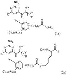 Figure imgf000028_0001