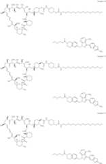 Figure US11364300-20220621-C00244