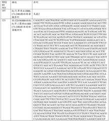 Figure BDA0001868160740001222