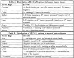 Figure imgf000061_0001