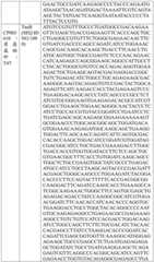 Figure BDA0004033970230005511