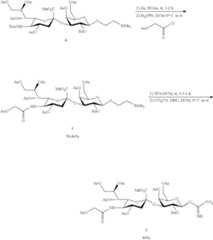Figure US10342858-20190709-C00017