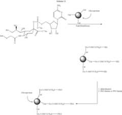 Figure US07214660-20070508-C00113