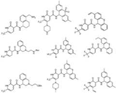 Figure imgf000033_0001