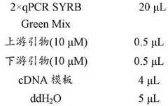 Figure DEST_PATH_IMAGE002