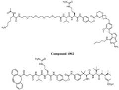 Figure imgf000091_0001