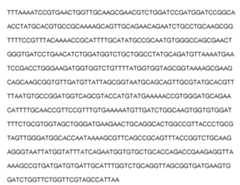 Figure imgf000113_0001