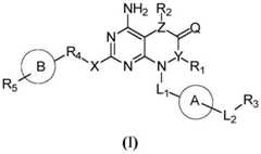 Figure FDA0001836596910000011