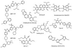 Figure imgf000012_0001