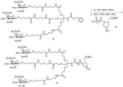 Figure imgf000514_0002