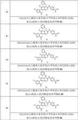 Figure GPA0000257967300000271