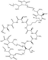 Figure imgf000091_0001