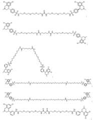 Figure 112016067511405-pct00500