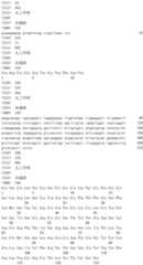 Figure IDA0002889616280000711