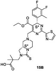 Figure BDA0003122494520001221