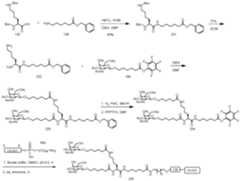 Figure imgf000323_0001