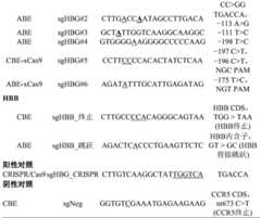 Figure GDA0003630119070002751