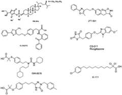 Figure imgf000062_0001