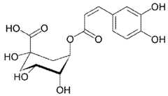 Figure imgf000024_0002