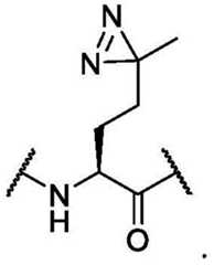 Figure BDA0003110682710000304