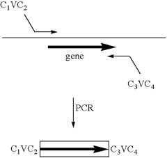 Figure US07226734-20070605-C00003