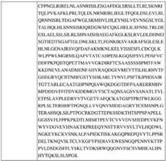 Figure BDA0002742983620000171