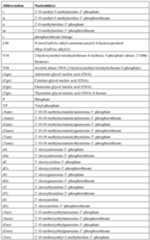 Figure imgf000115_0001