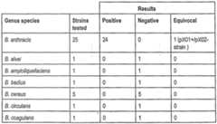 Figure imgf000030_0001