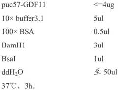 Figure BDA0001264733950000051