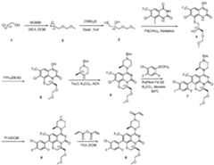 Figure imgf000304_0001