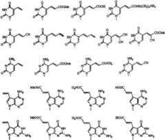Figure imgf000014_0001