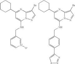 Figure US08580782-20131112-C00064