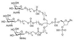 Figure 2023012548000147