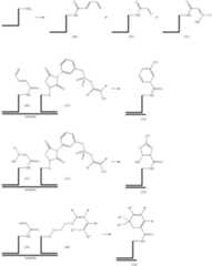 Figure US07727713-20100601-C00014