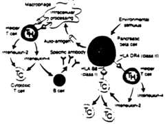 Figure imgf000008_0001