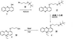 Figure BPA00001263293900191