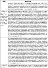 Figure BDA0003627552160000831