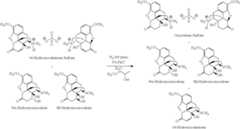 Figure US11390627-20220719-C00055