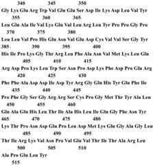 Figure BDA0001145126730000881