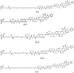 Figure BDA0003376679440000121