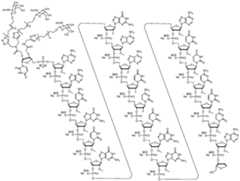 Figure imgf000035_0001