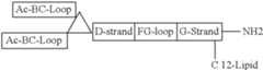 Figure US08907053-20141209-C00078