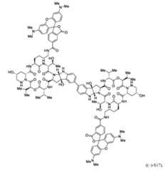 Figure imgf000058_0001