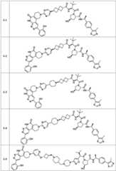 Figure BDA0003783300830002131