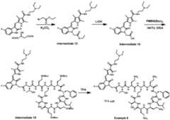 Figure imgf000078_0001