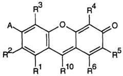 Figure imgf000005_0001