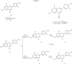 Figure US07084276-20060801-C00020