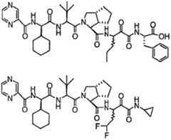 Figure BDA00002761909301391